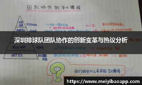 深圳排球队团队协作的创新变革与热议分析