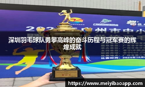 深圳羽毛球队勇攀高峰的奋斗历程与冠军赛的辉煌成就